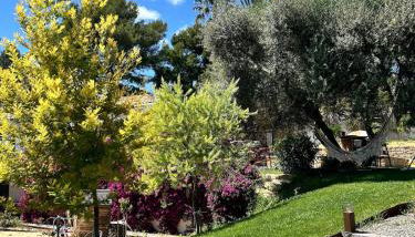 Nouveaute Splendide Villa Mara avec Piscine pour 10 Pers à La Cadiere d Azur à 10 mn des Plages - Foto 2