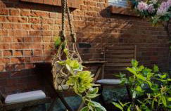 Gästewohnung Wasserzucht - Foto 8