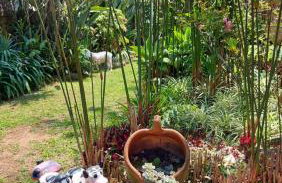 Suíte com vista da Serra - Foto 11