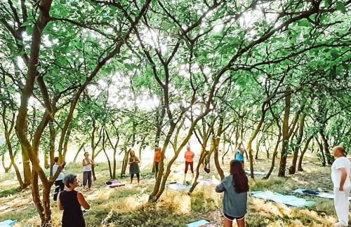 Agriturismo La Sorgente - Foto 3