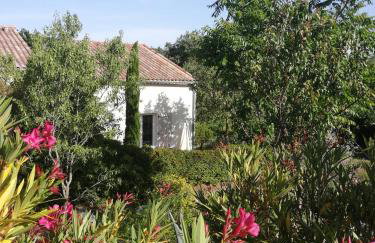 Gîte Le Mas de Molines - Foto 37