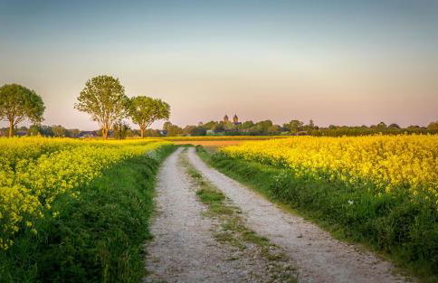Ferienwohnungen Schoofs - Foto 32