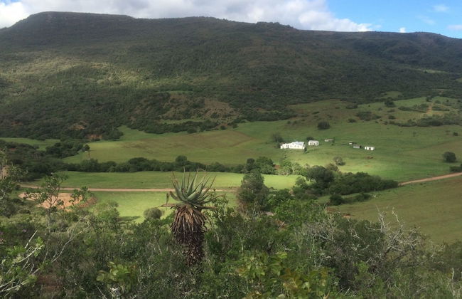 Farm Stays, Here you Will be Able to Relax and Enjoy the Beauty of Nature - Foto 1