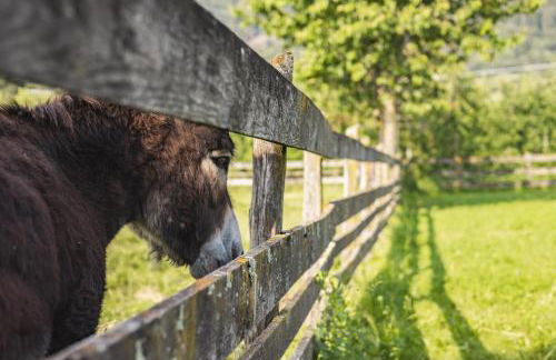 Residence Hoferhof - Foto 47