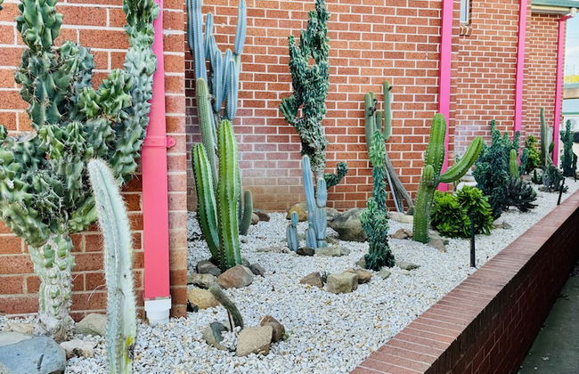 The Roseville Apartments - Foto 27