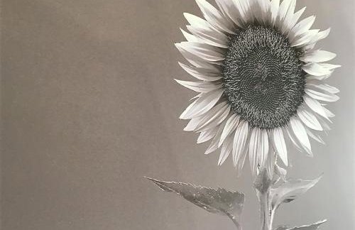 Modern Apartment with Stunning Sea View - Foto 12