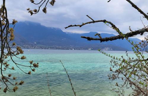 Appartement cosy face aux Aravis - Photo 38