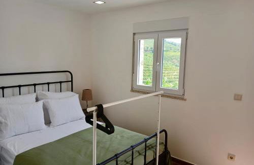 Quinta Da Batoca - Photo 9