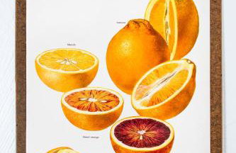 The George Washington on Mt Washington - Foto 40