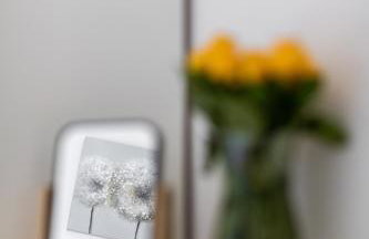 Villa Forestview - Foto 8