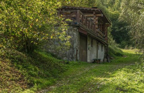 Kałamunka - Foto 80