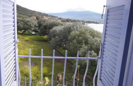 Les Figuiers - Foto 27