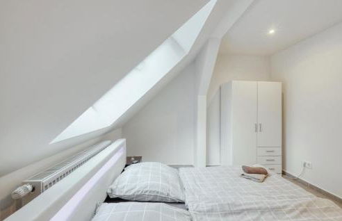 Seepferdchen - Foto 19