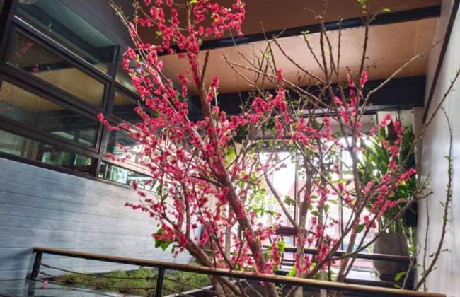 Baan Warintorn Court Nongkhai - Foto 38