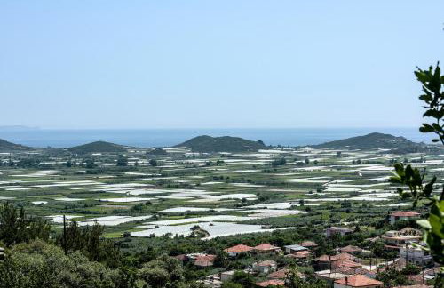 Olive Hill - Foto 38