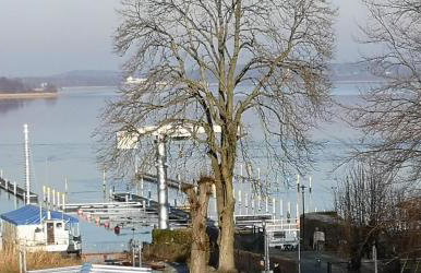 Zimmer am Schwielowsee - Foto 35