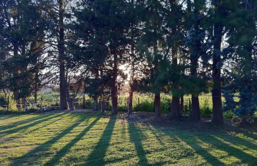 Monica di Sorbo - Foto 31