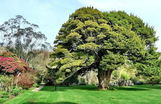 Stunning Premium Yurt in Kelburn Estate Near Largs - Foto 15