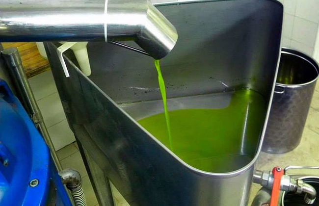 Fattoria Giunasco - Foto 28