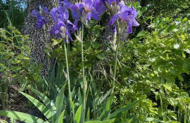 Pigeonnier des Banons - Foto 25