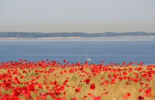 Beach Lounge II - Foto 19