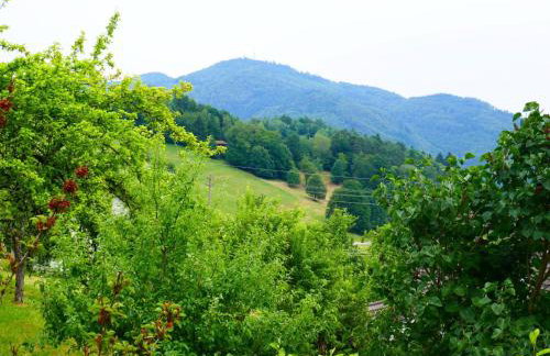 Haus Landblick - Photo 3