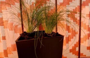 Apartament Luxusowe Karkonosze - Foto 19