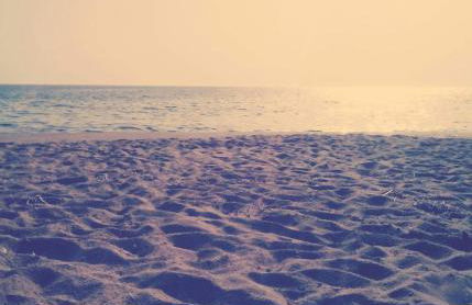 Agriturismo La Fillirea - Foto 21