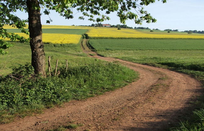 Holiday Apartment Sunflower - Foto 12
