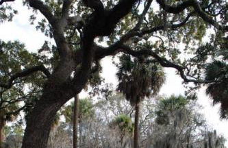 Newly Renovated 4 bed 3 bath and 2 Parking Spots - Foto 10