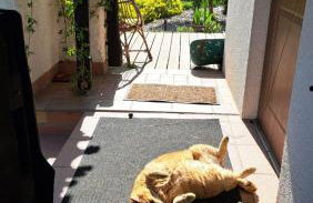 Cały dom na wyłączność - Ostoja Leśna Cisza - Foto 47