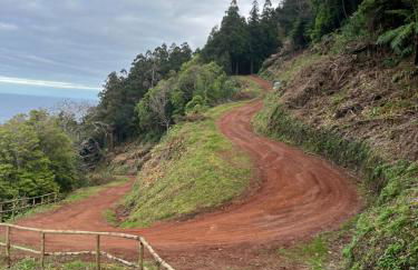 Casa Do Salgueiro - Photo 31