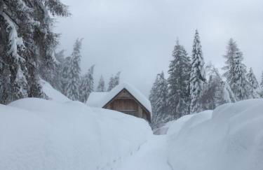 Chalet Corone Monte Zoncolan - Foto 5