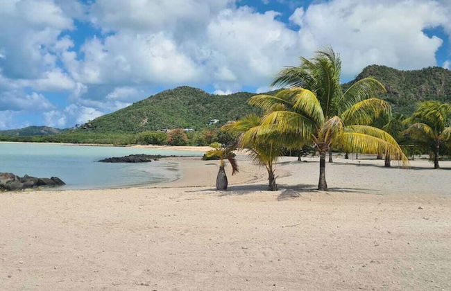 Wild Lotus Villa - Waterfront on Jolly Harbour - Photo 31