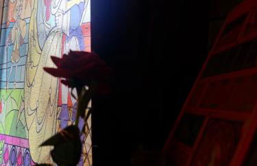 La Belle et le Nooki - Foto 9