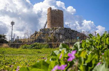 Ciuri Ciuri - Foto 58