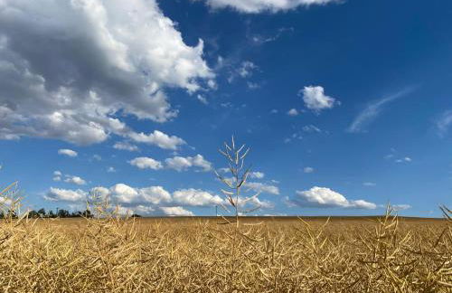 Ferienwohnung Moneblümchen - Foto 21