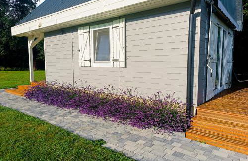 Nowy Domek na Mazurach - łowisko ryb - Foto 29