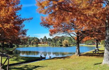 Mountain Village Garden Flat - Foto 32