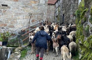 Casa do Beija - Foto 76