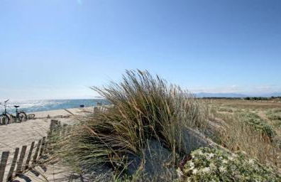 Maison Jardin Wifi - Climatisation - 100 m plage sauvage - 20 min Perpignan - Foto 19