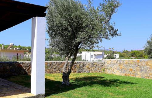 Villa Cleoboulos - Foto 19