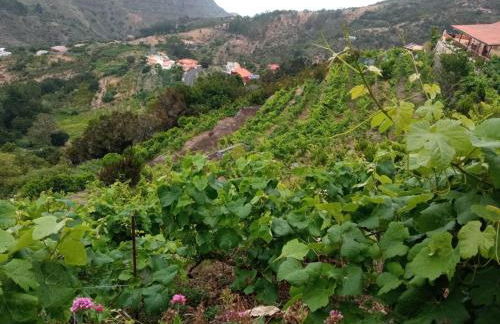Casa Rural Quilla - Foto 32