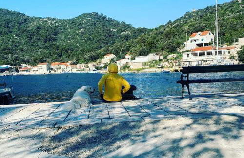 Apartment Nikki - Foto 1