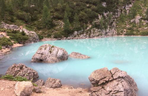 Cesa Fossal - Foto 41