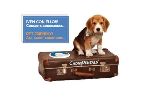 La PEPA1812 by Cadiz4Rentals - Foto 8