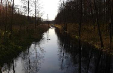 Cztery Pory Roku - Foto 67