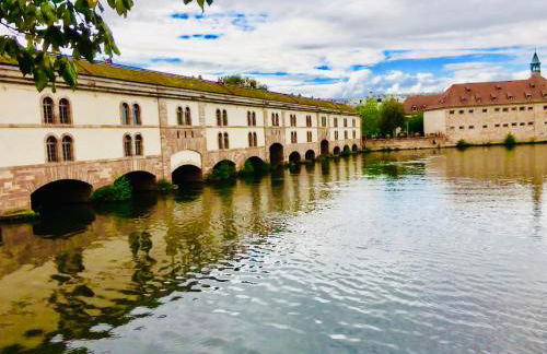 Cosy apartment on Strasbourg Tramway line and Canal - Appartement confortable sur ligne tram Strasbourg et Canal - Foto 15