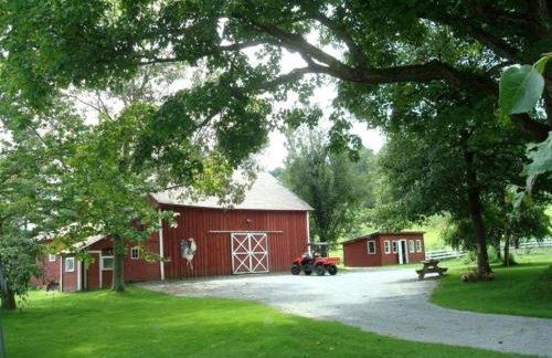 Enchanting Secluded Cabin Rental near Salem, New York - Foto 3