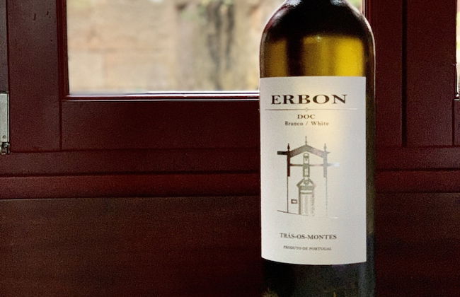 Casa Grande do Seixo - Photo 17